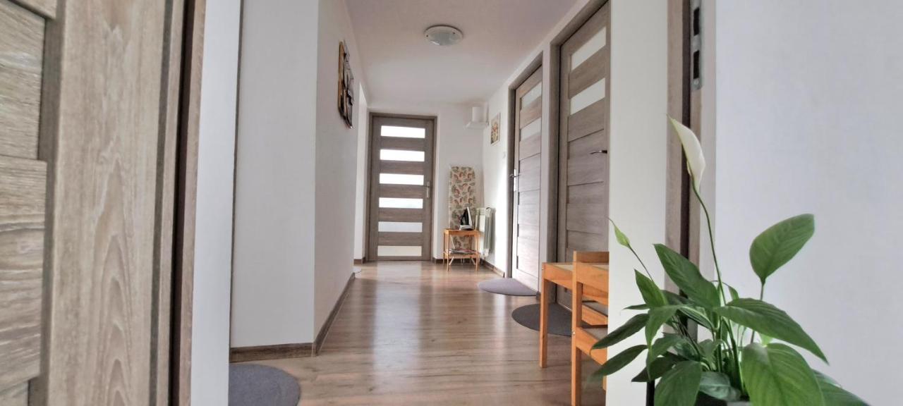 Pokoje I Apartamenty Na Szkolnej Zator Eksteriør billede