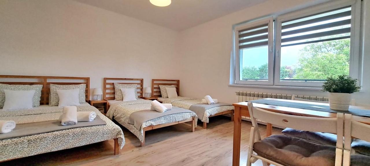 Pokoje I Apartamenty Na Szkolnej Zator Eksteriør billede